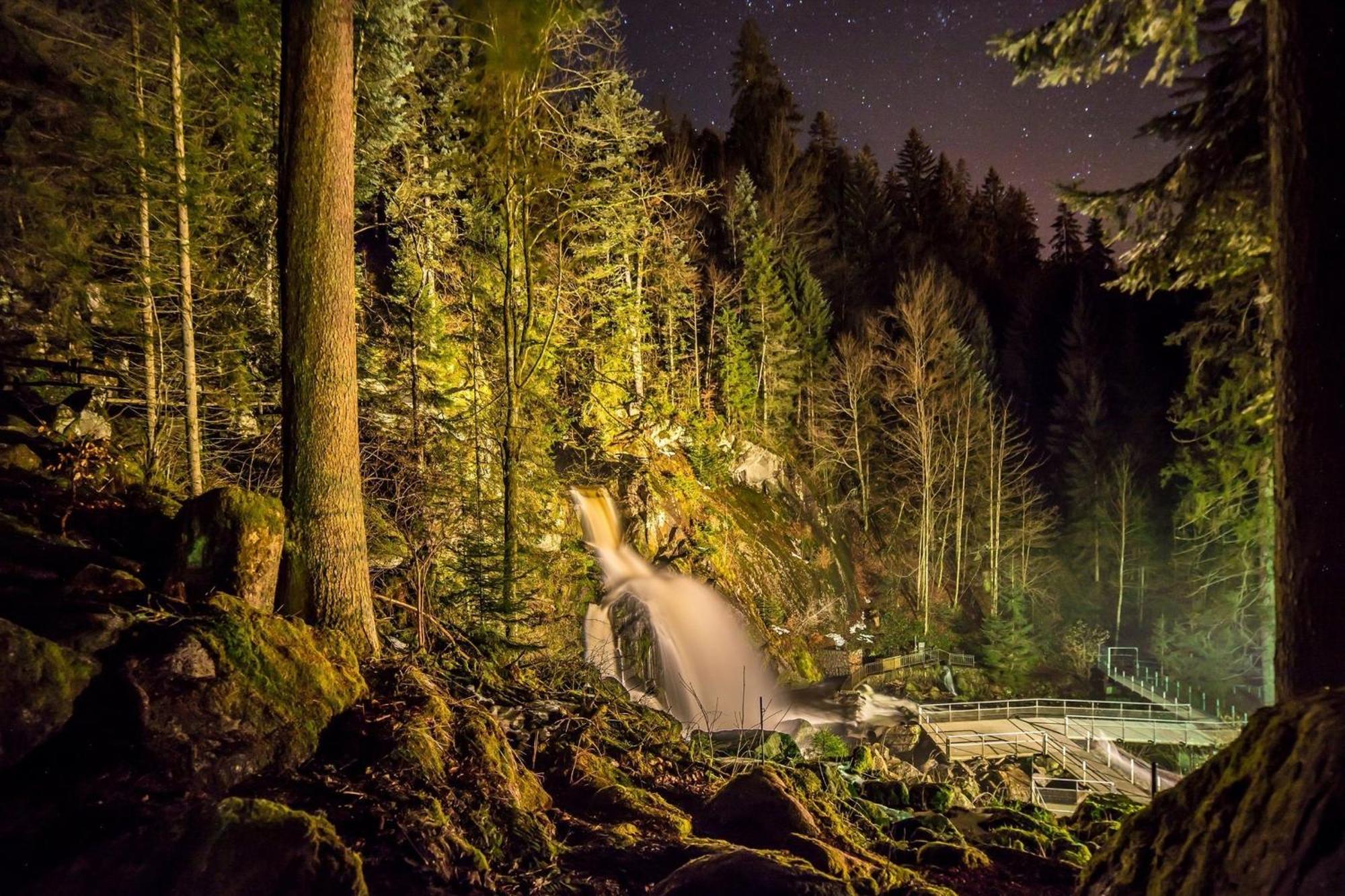 Ferienhaus Am Roesslewald Breitnau Eksteriør billede